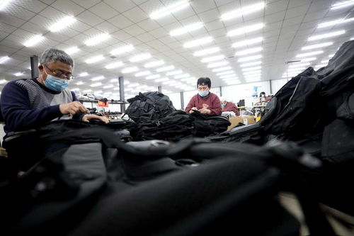 河北隆堯 壯大集體經(jīng)濟 助力鄉(xiāng)村振興